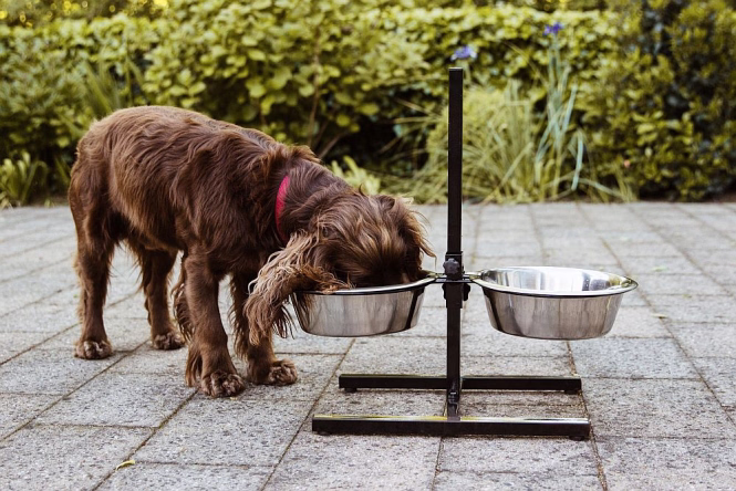 Nobby Napfständer Diner Bar - 2x 4,5l / bis 60 cm
