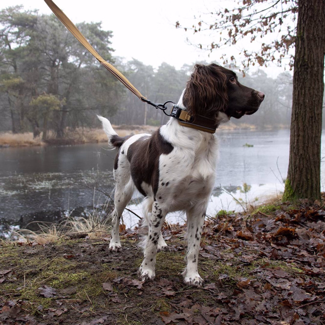 EXPLOR Ultimate Fit Control Hundehalsband Classic