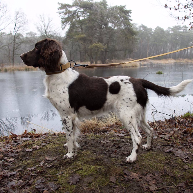EXPLOR Ultimate Fit Control Hundehalsband Classic