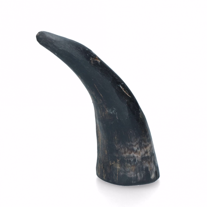 Viking Kauhorn aus Rinderhorn