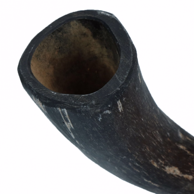 Viking Kauhorn aus Rinderhorn