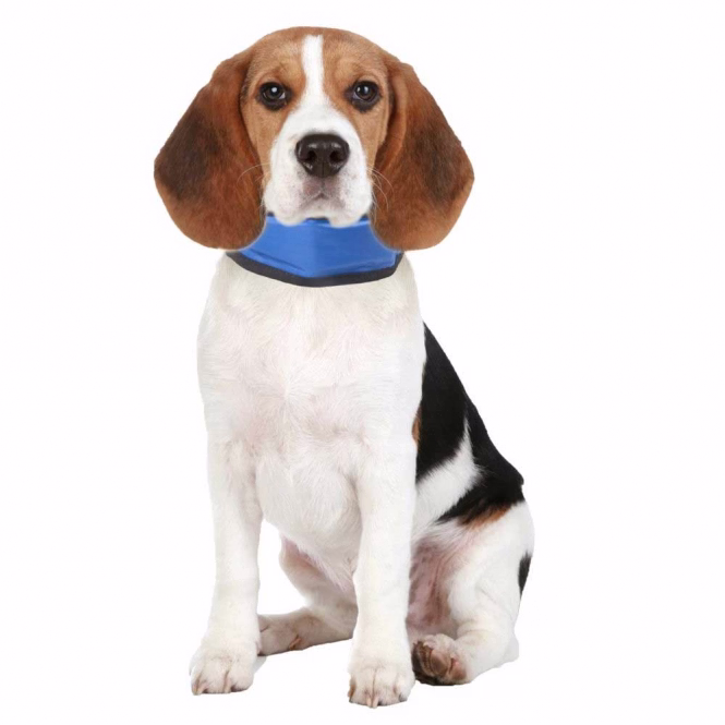 Fresk Kühlbandana für Hunde