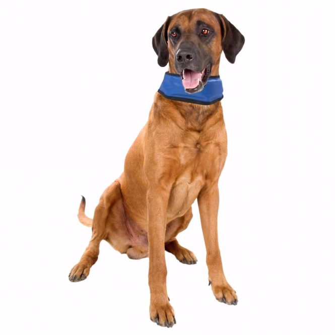 Fresk Kühlbandana für Hunde