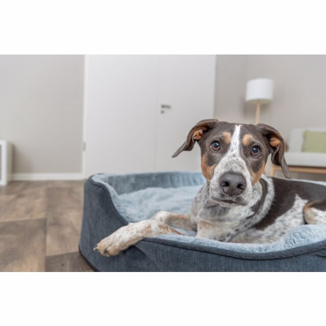 Orthopädisches Hundebett Vital Lino Soft, oval