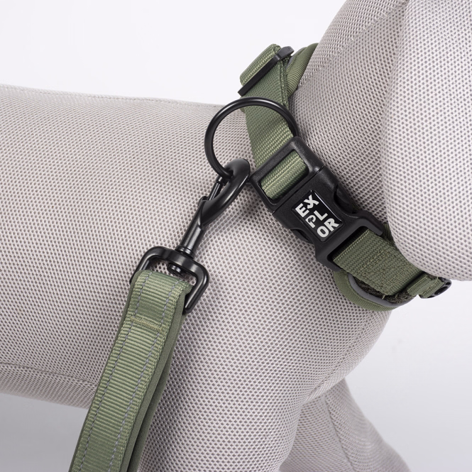 Duvoplus EXPLOR Ultimate Fit Control Halsband Classic - undercover green - M - 39-44cm