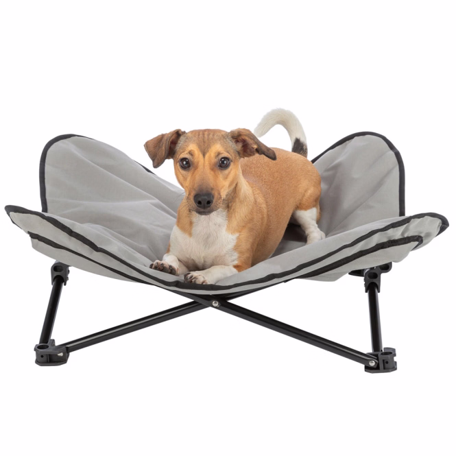 Camping-Bett für Hunde, faltbar