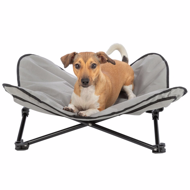 Camping-Bett für Hunde, faltbar