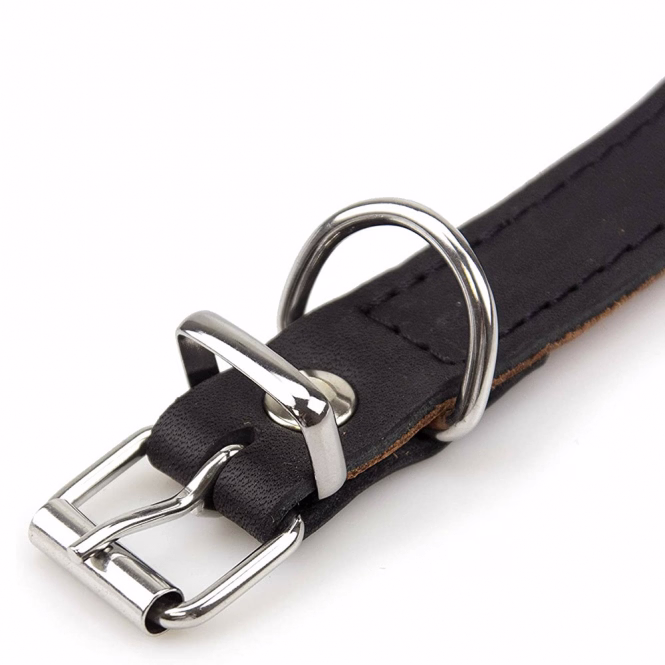 Karlie Rondo Windhund-Halsband - Schwarz - 40cm/50mm