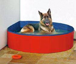 Karlie DOGGY POOL der Swimmingpool für Hunde - Rot-Blau - 120 cm
