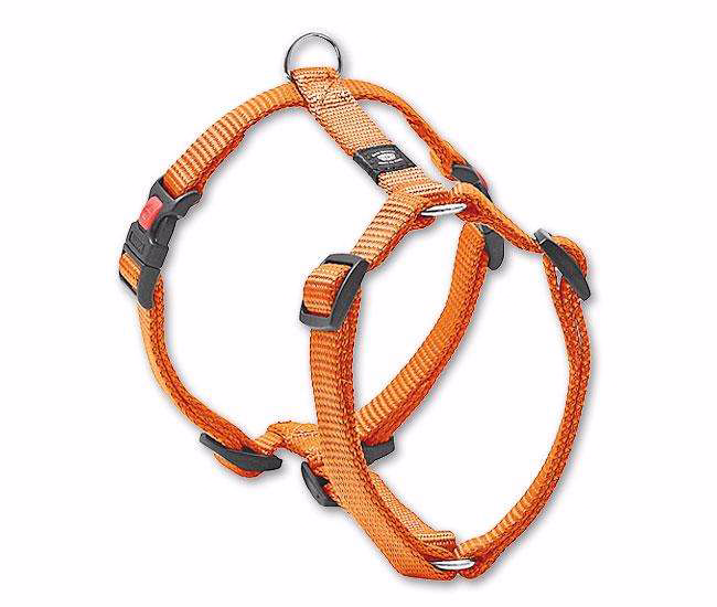 ASP Hundegeschirr 10 mm