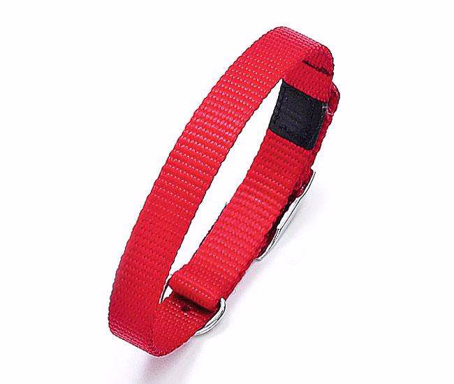 ASP Nylon-Halsband Rot
