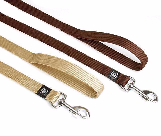 ASP Hundeleine Nylon 25 mm