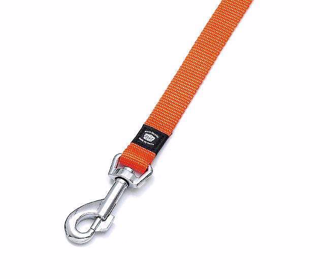 ASP Hundeleine Nylon 10 mm