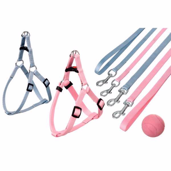 Welpen-Set STEP&GO mit Geschirr, Leine und Spielzeug