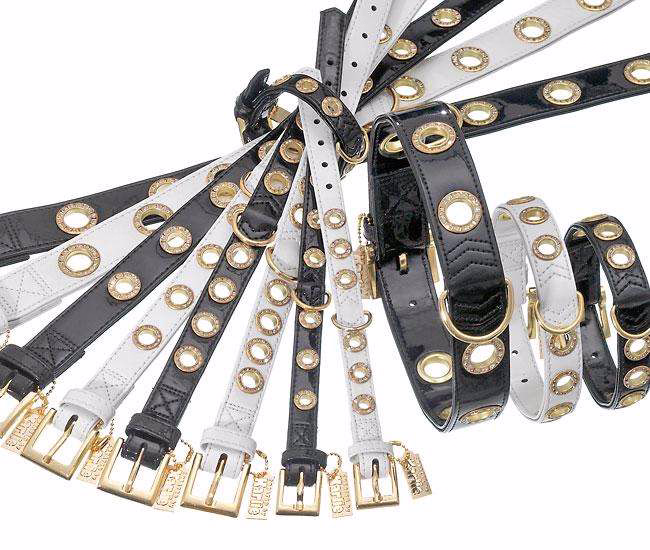 NOBLE LINE Hundehalsband Weiß mit goldfarbenen Ösen