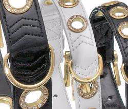 NOBLE LINE Hundehalsband Weiß mit goldfarbenen Ösen