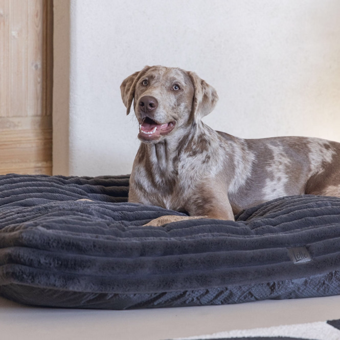 Hundekissen Reza 120 x 80 cm