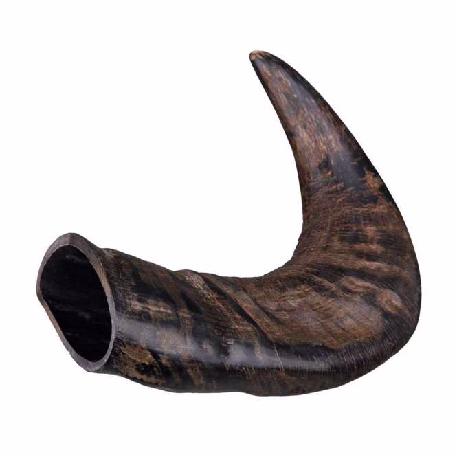 Büffel-Kauhorn