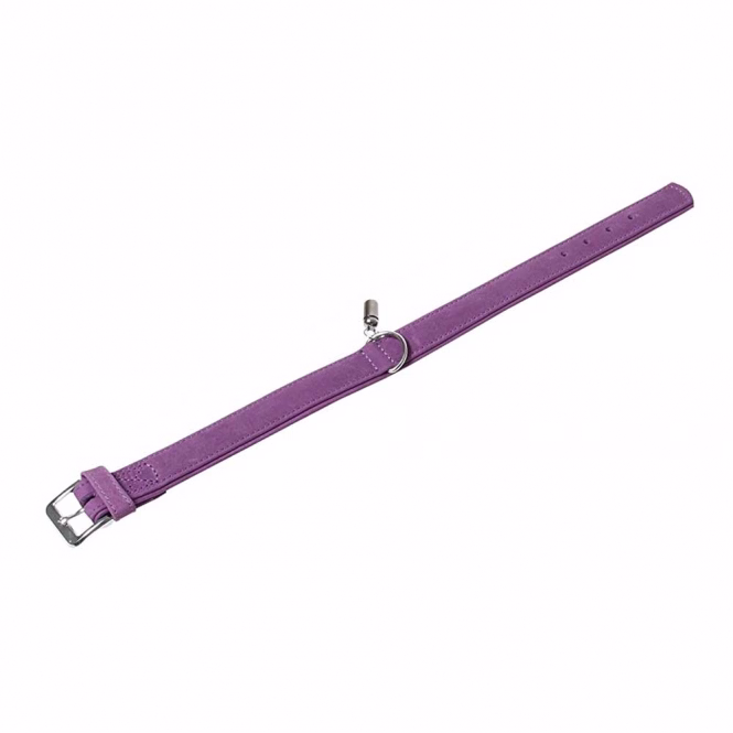 Hundehalsband Buffalo aus Kalbsleder, Lila