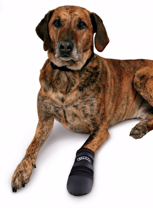 Walker Care Pfotenschutz-Stiefel