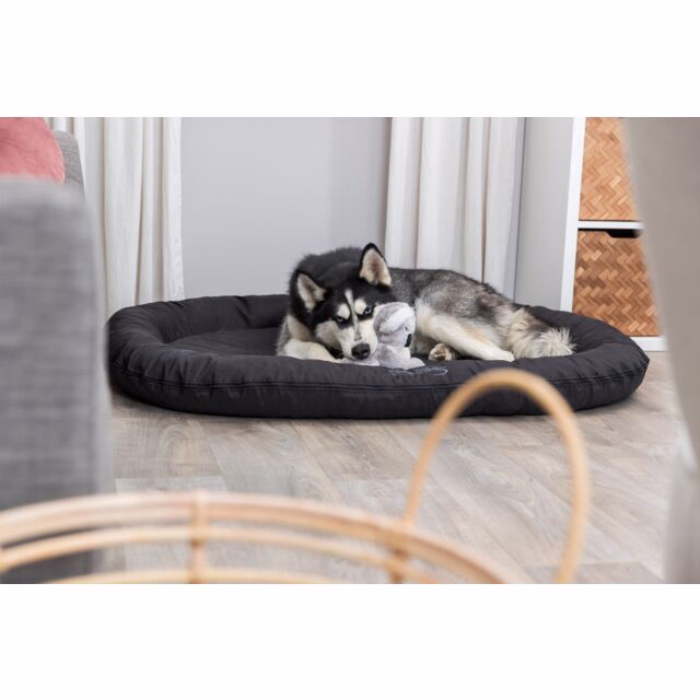 Hundekissen Samoa Classic