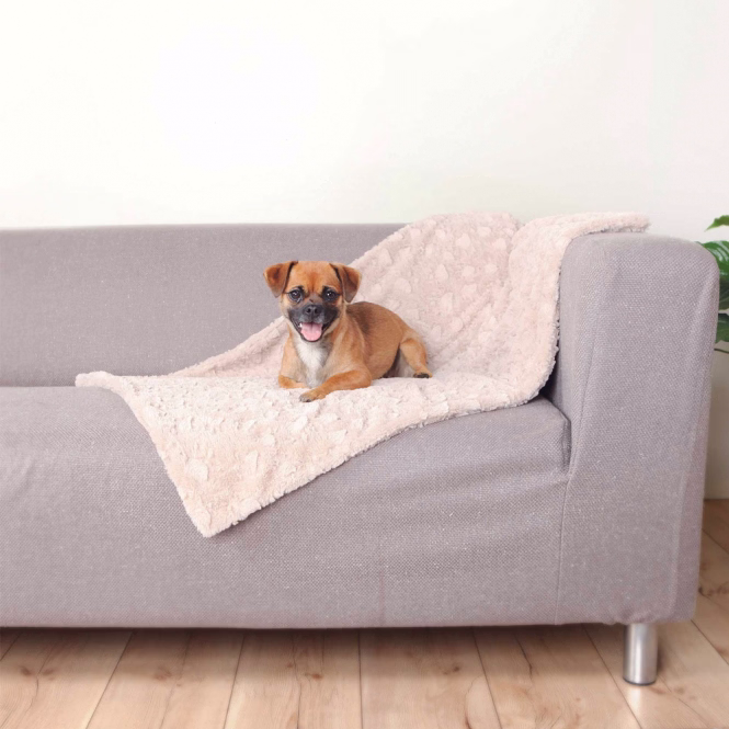 Trixie Hundedecke Cosy - beige - 100 x 70 cm