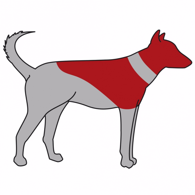 Aufblasbarer Schutzkragen für Hunde