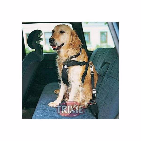 Auto-Sicherheitsgeschirr für Hunde