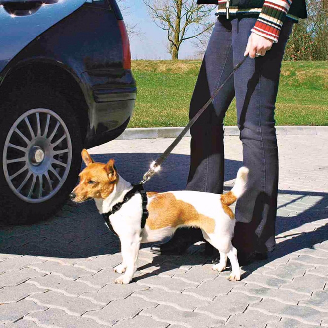 Auto-Sicherheitsgeschirr für Hunde