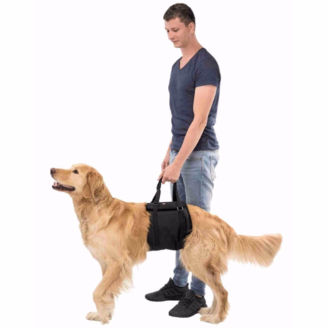 Hebehilfe für Hunde