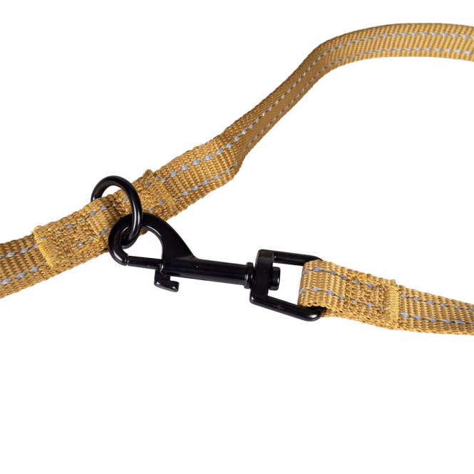 Verstellbare Trainingsleine Honey Gold, 16 mm