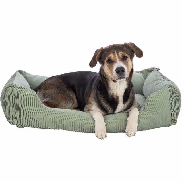 Hundebett Marley
