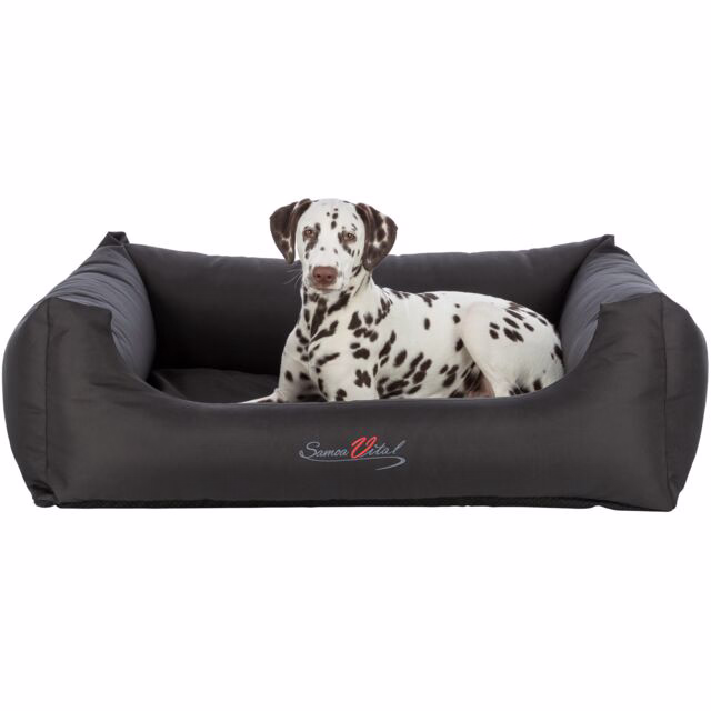 Samoa Vital Orthopädisches Hundebett 65 × 50 cm