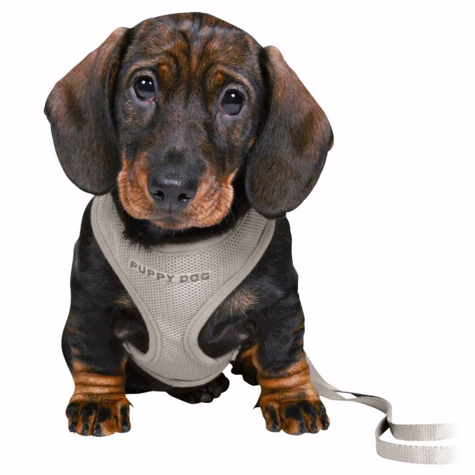 Trixie Junior Welpen-Softgeschirr mit Leine - hellgrau