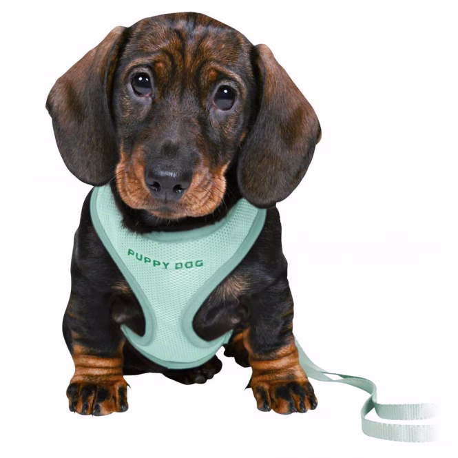 Trixie Junior Welpen-Softgeschirr mit Leine - hellgrau