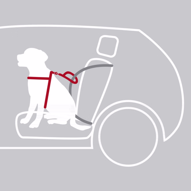 Trixie Auto-Sicherheitsgeschirr Dog Protect - M: 50-65 cm