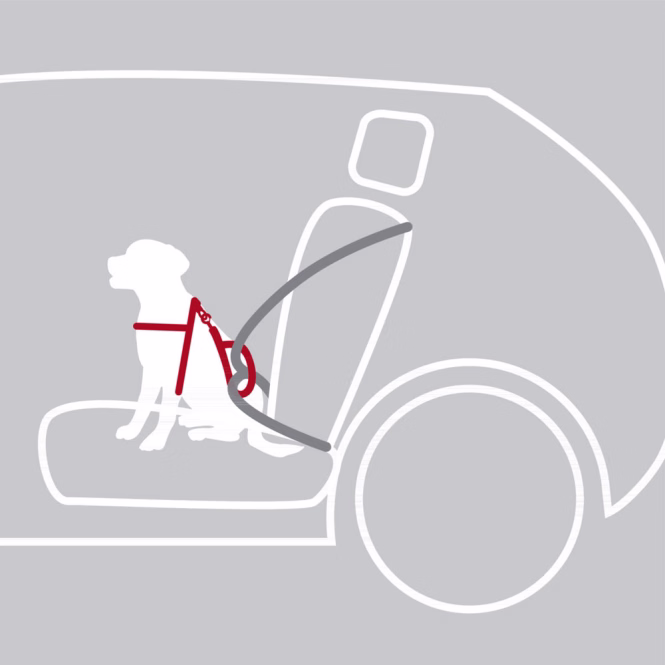 Trixie Auto-Sicherheitsgeschirr Dog Protect - S-M: 40-55 cm