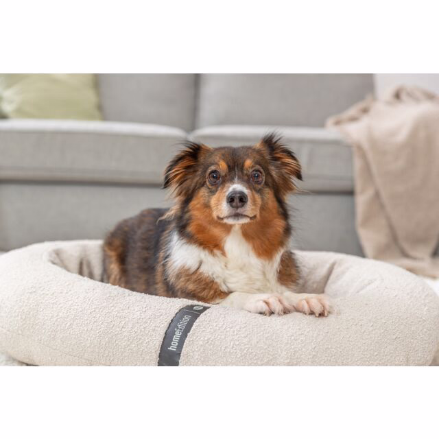 Hundebett Vital CityStyle orthopädisch, creme