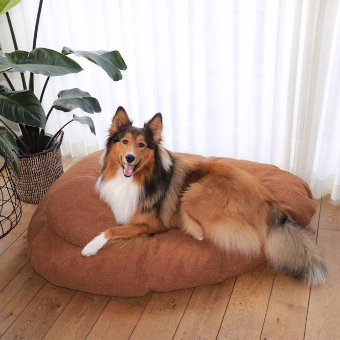 D&D Kissen Pebble - orange - 120x95x33cm