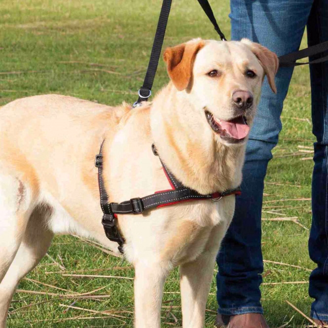 Trixie Trainingsgeschirr Lead'n'Walk Soft - L-XL