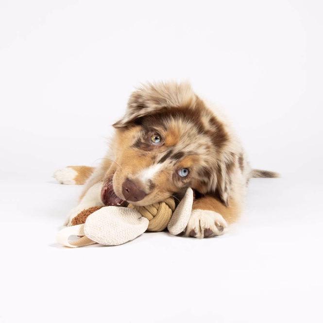 D&D Hundespielzeug Jule - sand - 37x6,5x6,5cm