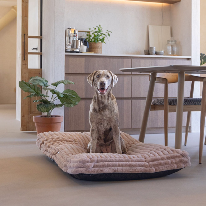 Designed by Lotte Hundekissen Reza - Rosa - 120 x 80 cm