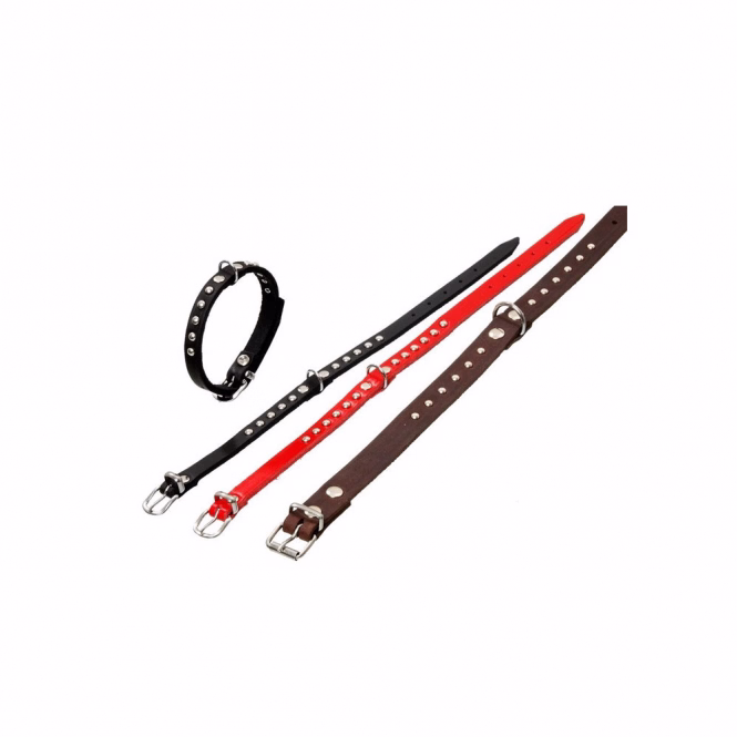 Karlie RONDO Halsband mit Ziernieten - Rot - 32cm / 10mm