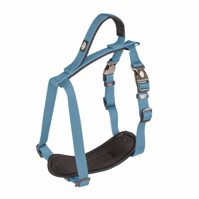 Duvoplus EXPLOR North Geschirr - Petrolblau - 40-50cm/15mm