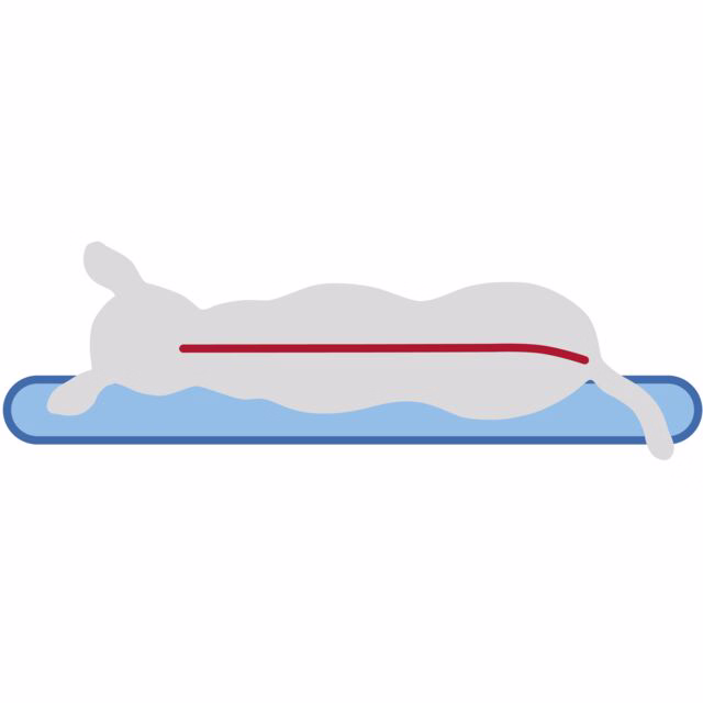 Trixie Vital Kissen Bendson - oval - 120 × 85 cm
